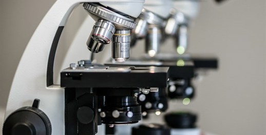 RSPH Level 4 Certificate in Asbestos Laboratory and Project Management